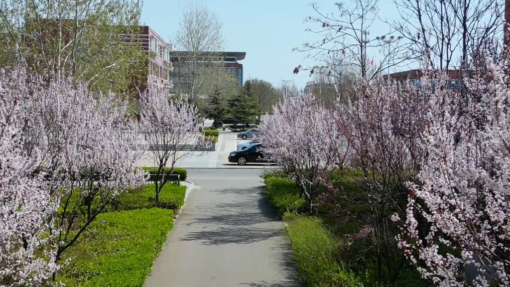 阳春三月·寒亭一中·校园春色