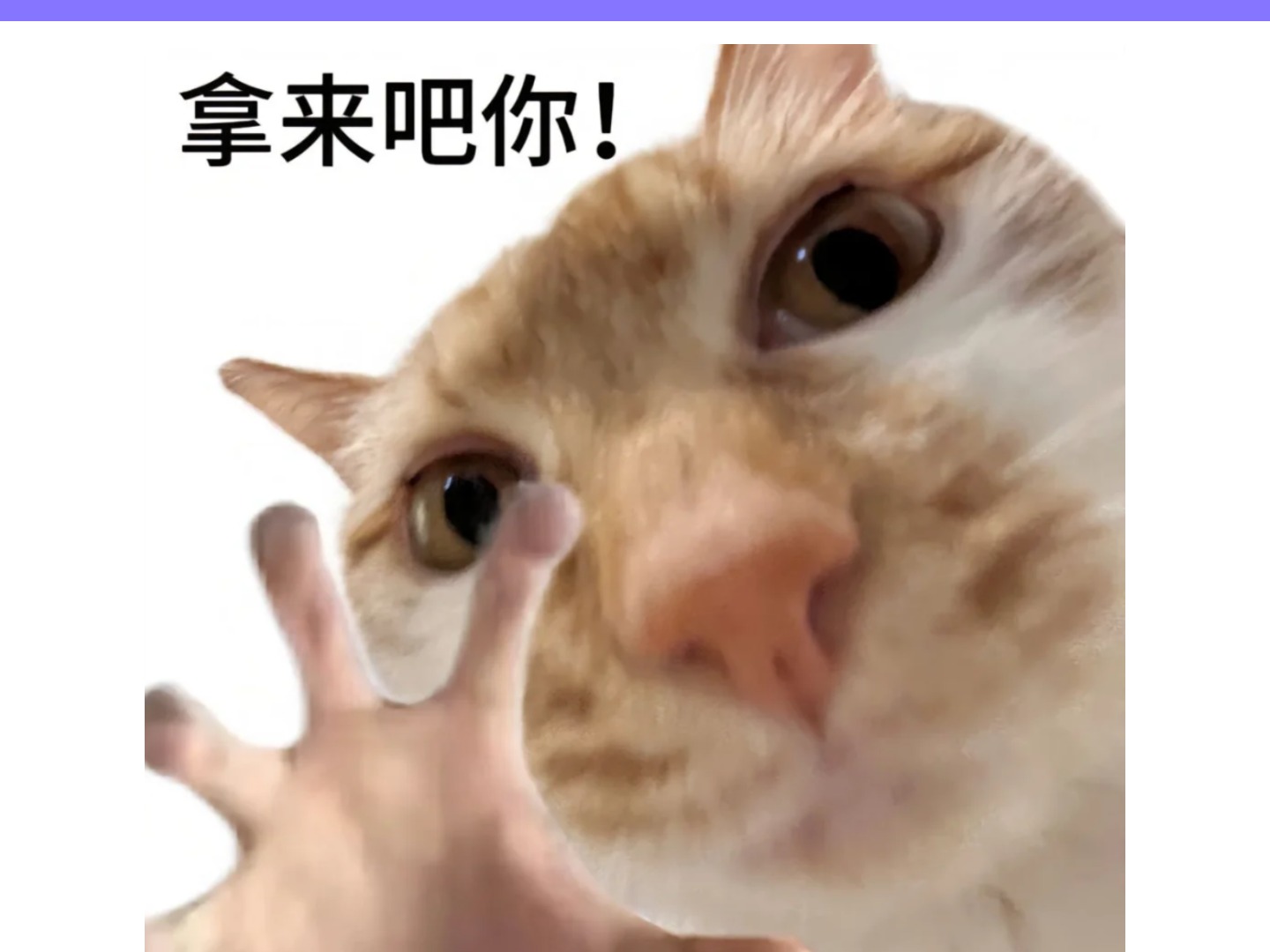 参加这个竞赛,综测加分拿来吧你