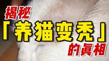 <em class="keyword">猫癣</em>真的会传染给人吗？皮肤科医生现身说法