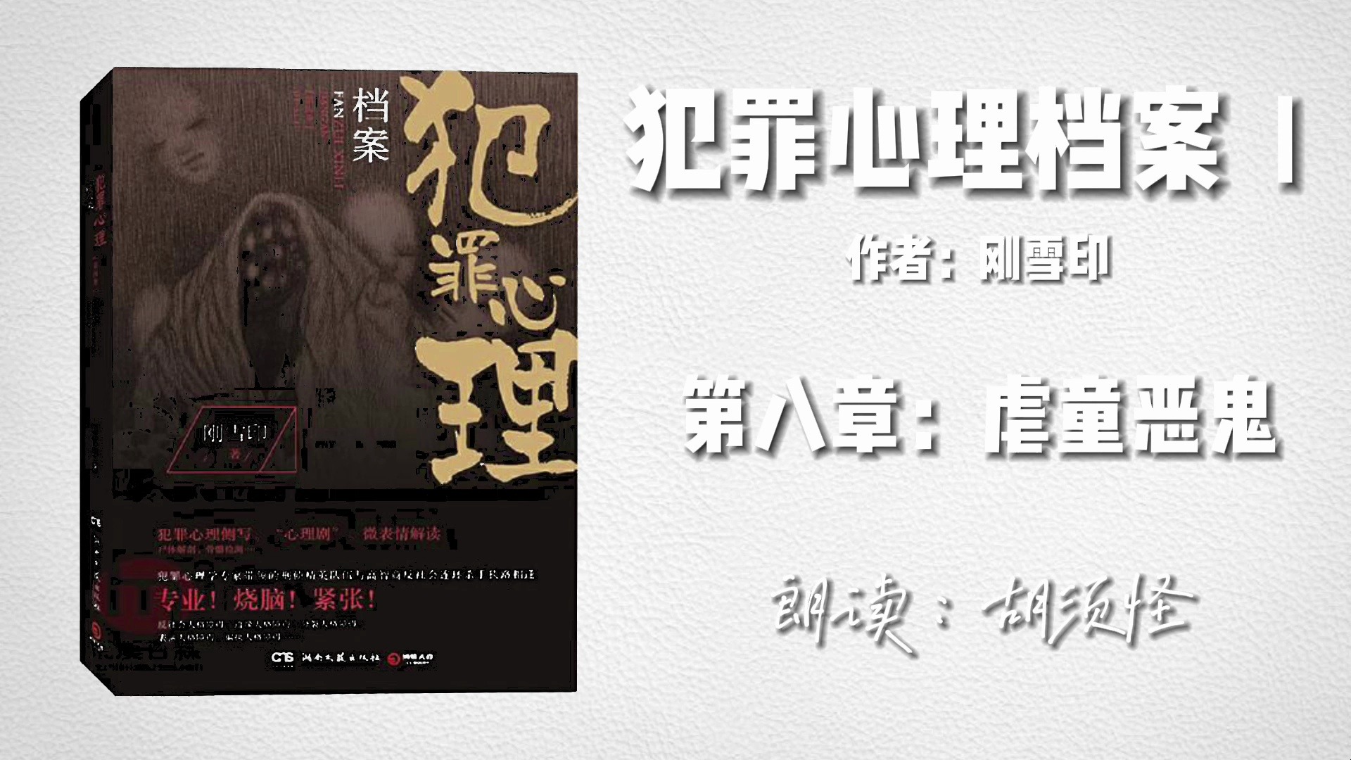 【睡前听书】《犯罪心理档案Ⅰ》(作者:刚雪印)第八章:虐童恶鬼
