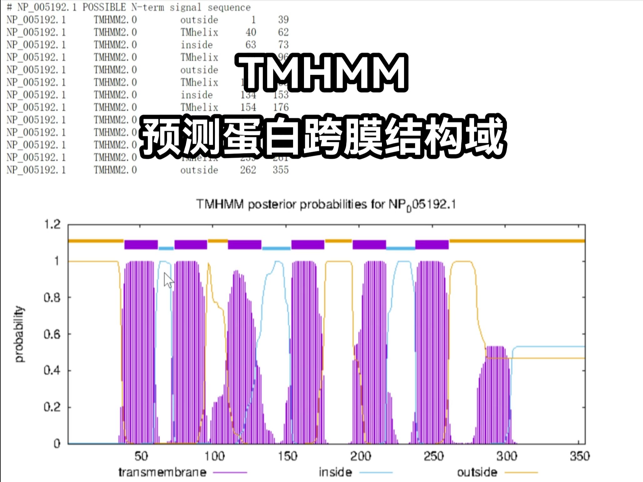 【TMHMM】预测蛋白跨膜结构哔哩哔哩bilibili