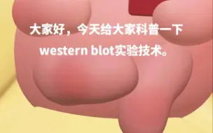 下载视频: western blot 实验技术@医思倍