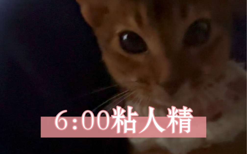 粘人小妖精