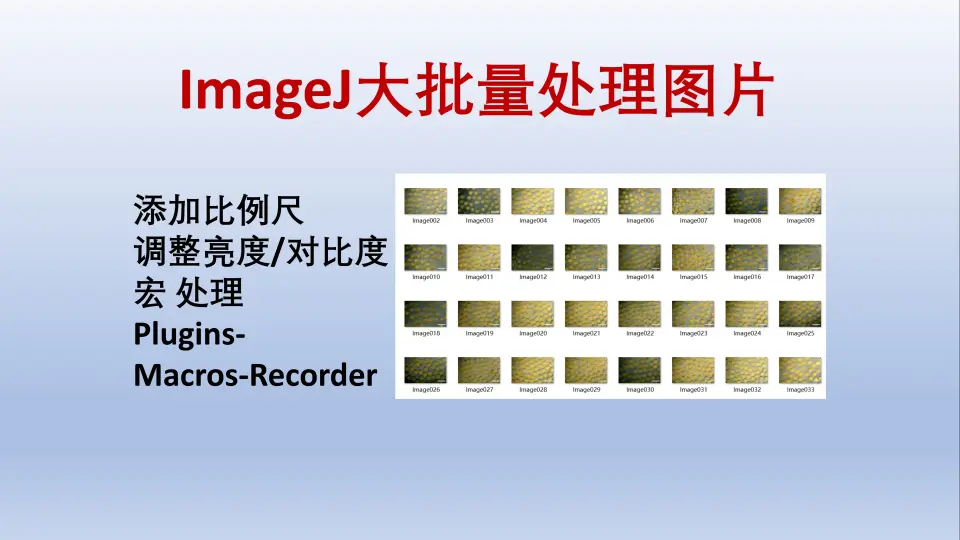 ImageJ's Advanced Graphic Design and Customization Tricks