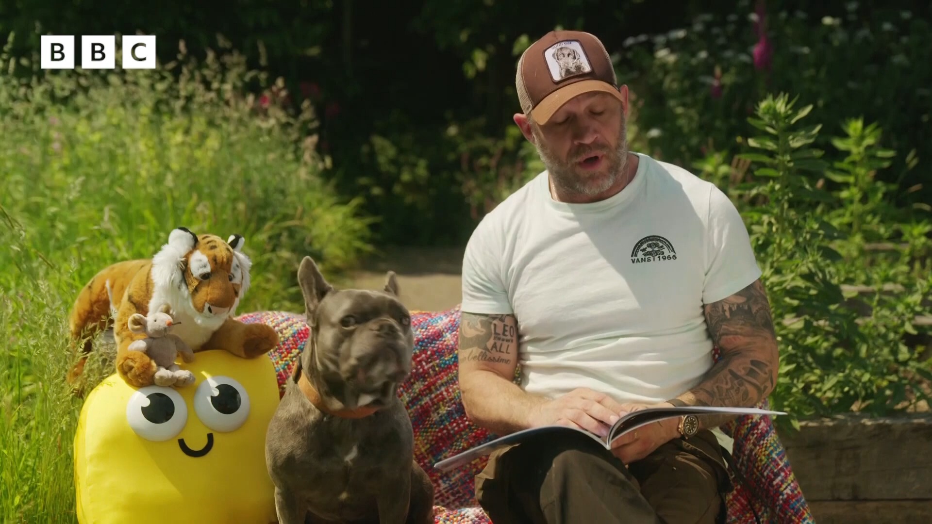 Bedtime Stories Tom Hardy reads 'I Am A Tiger'|CBeebies哔哩哔哩bilibili