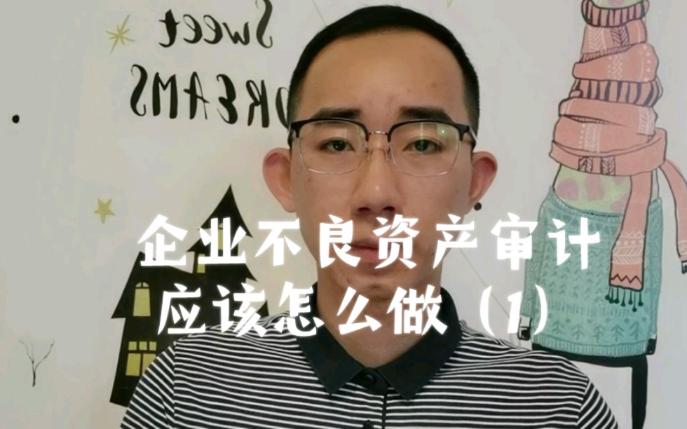 企业不良资产审计应该怎么做(1)哔哩哔哩bilibili