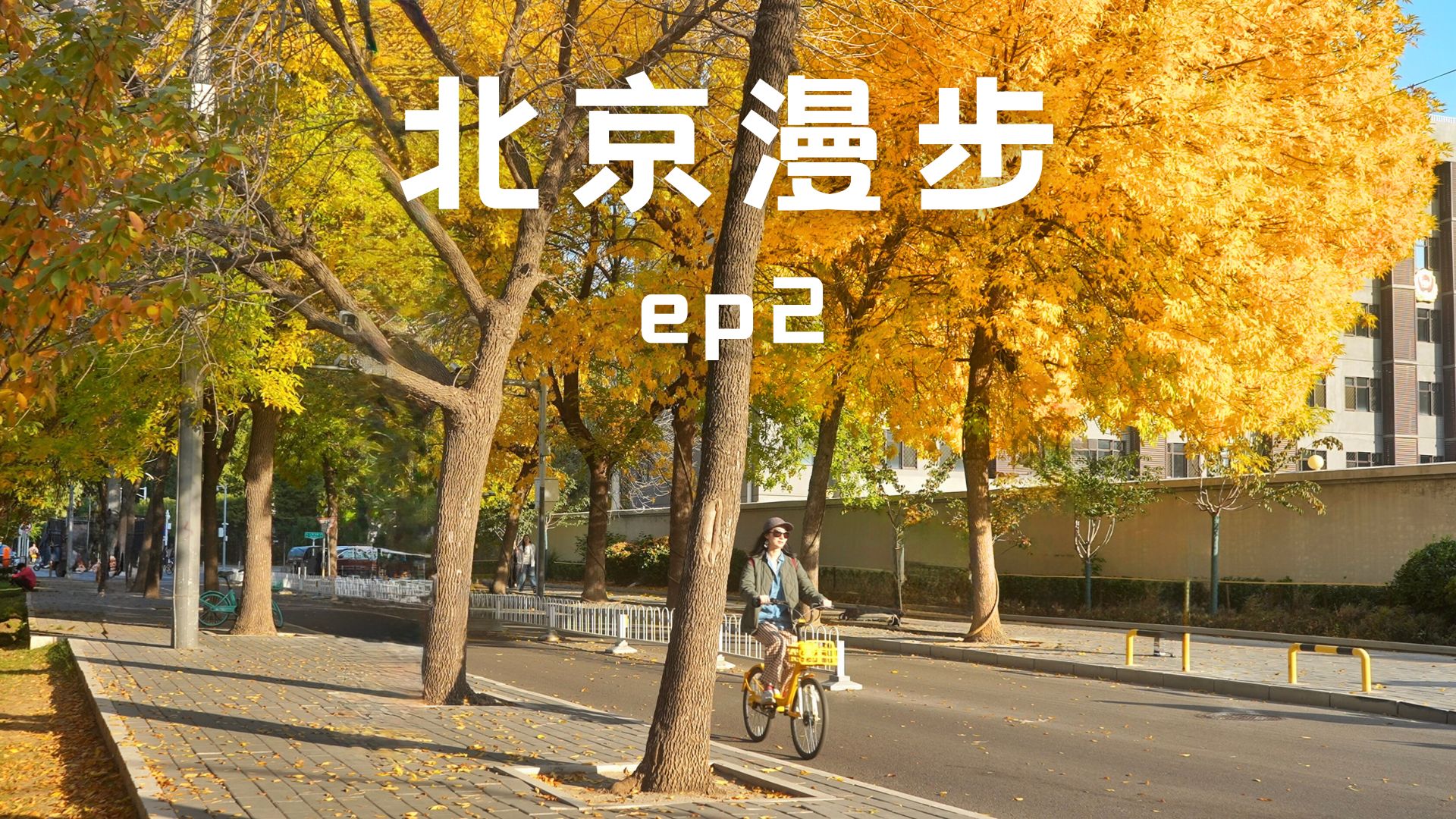比crush还短暂... | 10月北京赏秋漫步