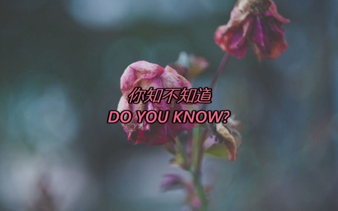 [图]A-Lin 黃麗玲 - 我等到花兒也謝了 I've Waited Til' All The Flowers Had Withered (LYRICS with