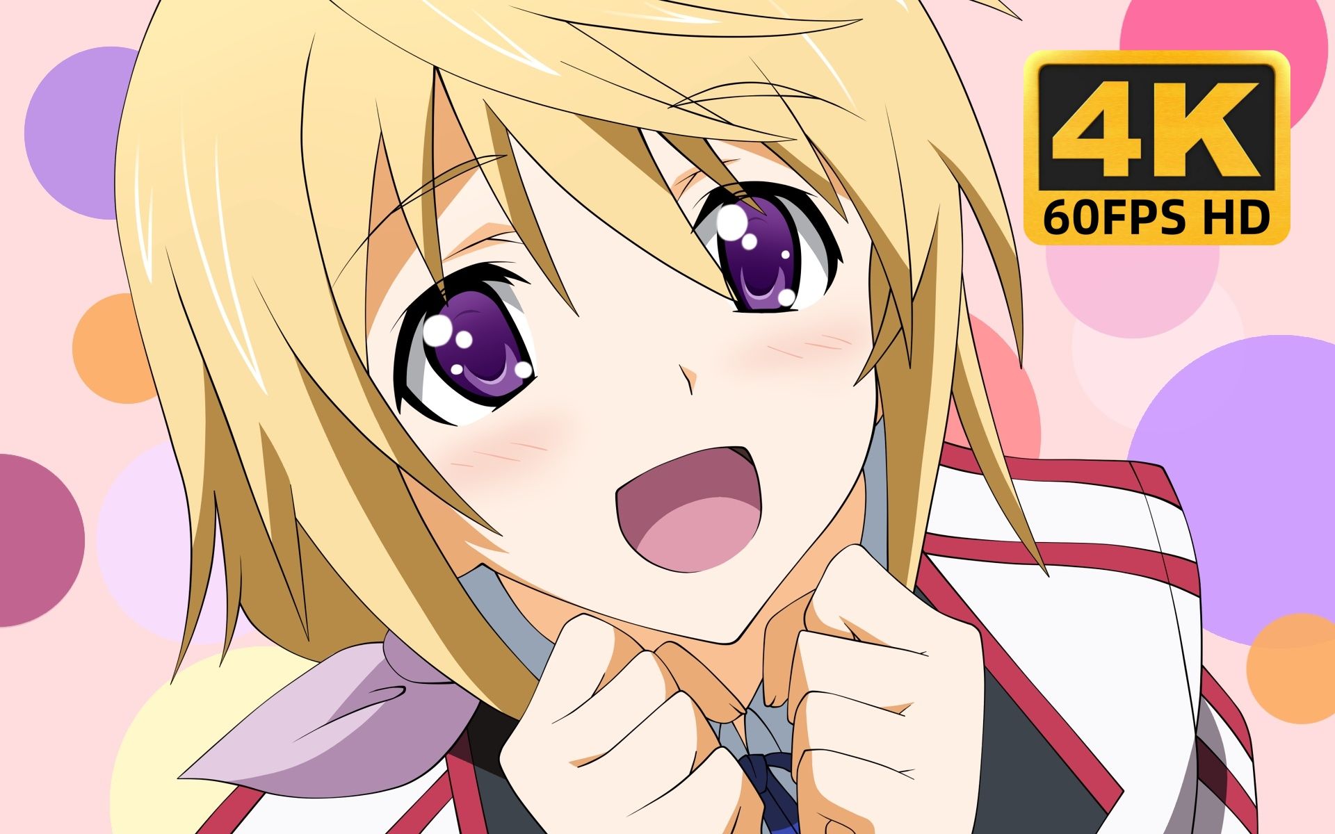 infinite stratos无限斯特拉托斯第二季 ncop『true blue traveler』