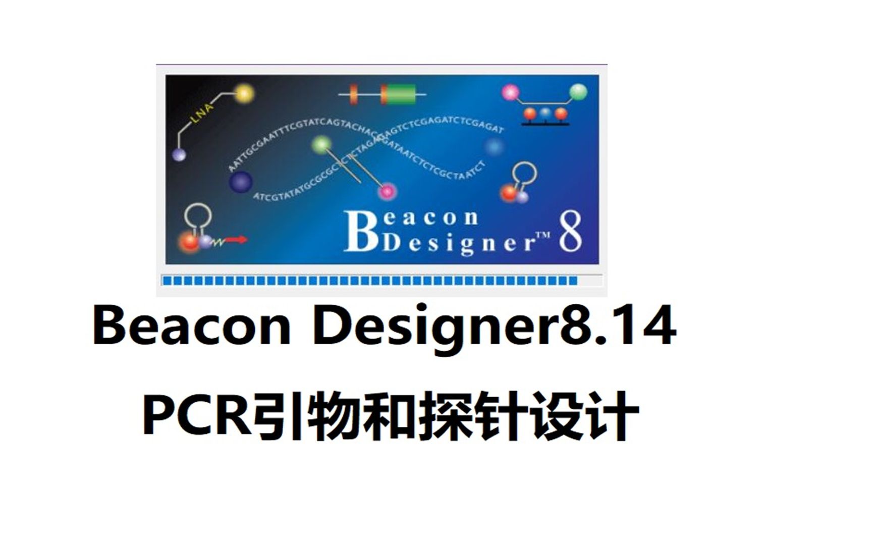 Beacon Designer 8.14 定量PCR引物和探针设计 安装包下载安装教程,电脑新手也能哔哩哔哩bilibili