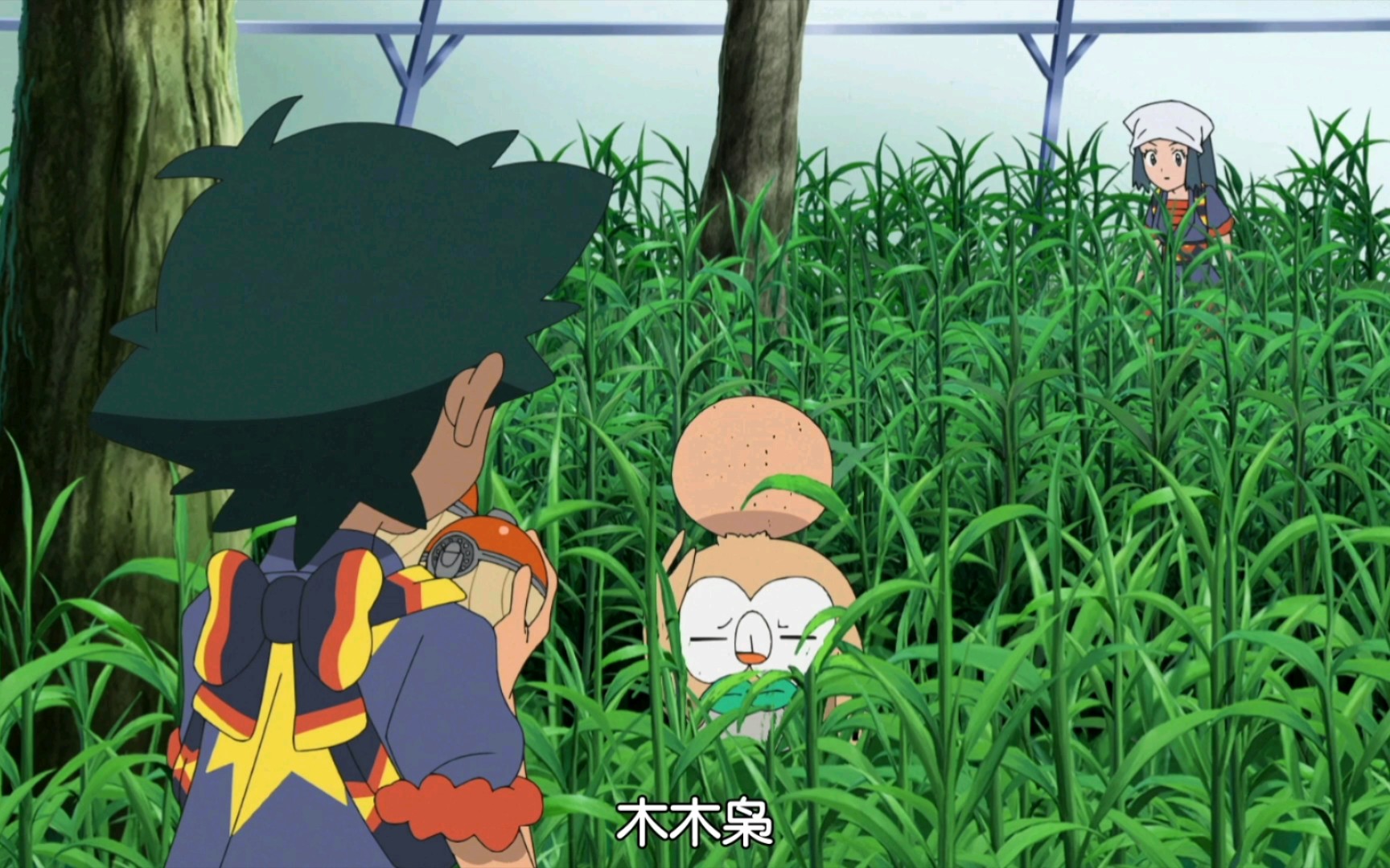 宝可梦旅途特别篇 智光体验收服御三家时的可爱互动,她的球就落到他手