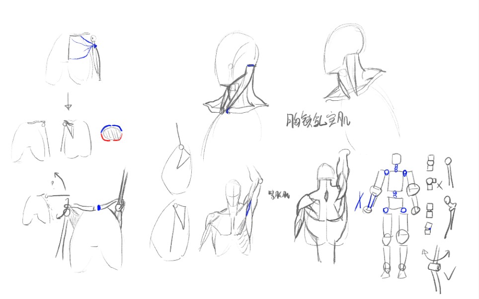 答疑腋窝肌肉结构人体关节特性颈部结构