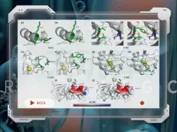 Скачать видео: 天玑算|分子动力学：基于计算机辅助设计提升d -葡萄糖异构酶的催化活性