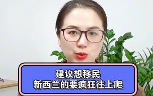 Download Video: 建议想移民新西兰的要疯狂往上爬#移民生活 #新西兰移民#上热门