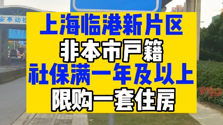 上海临港新片区,非本市户籍社保满一年及以上,限购一套住房!哔哩哔哩bilibili