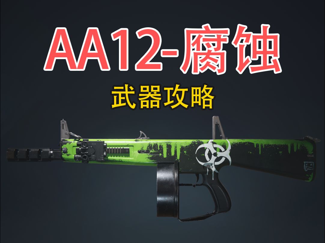 AA12腐蚀,图片武器攻略