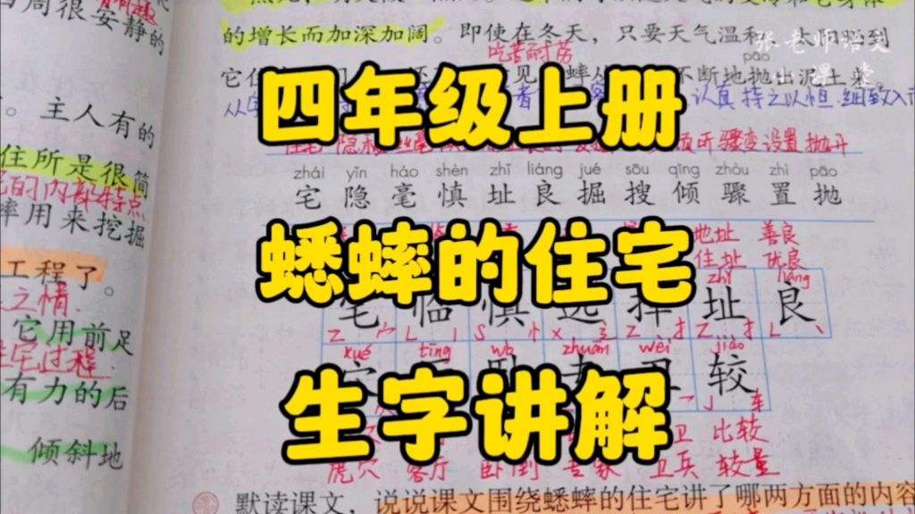 四年级上册:《蟋蟀的住宅》生字讲解,在对比归纳中识字更简单!哔哩哔哩bilibili