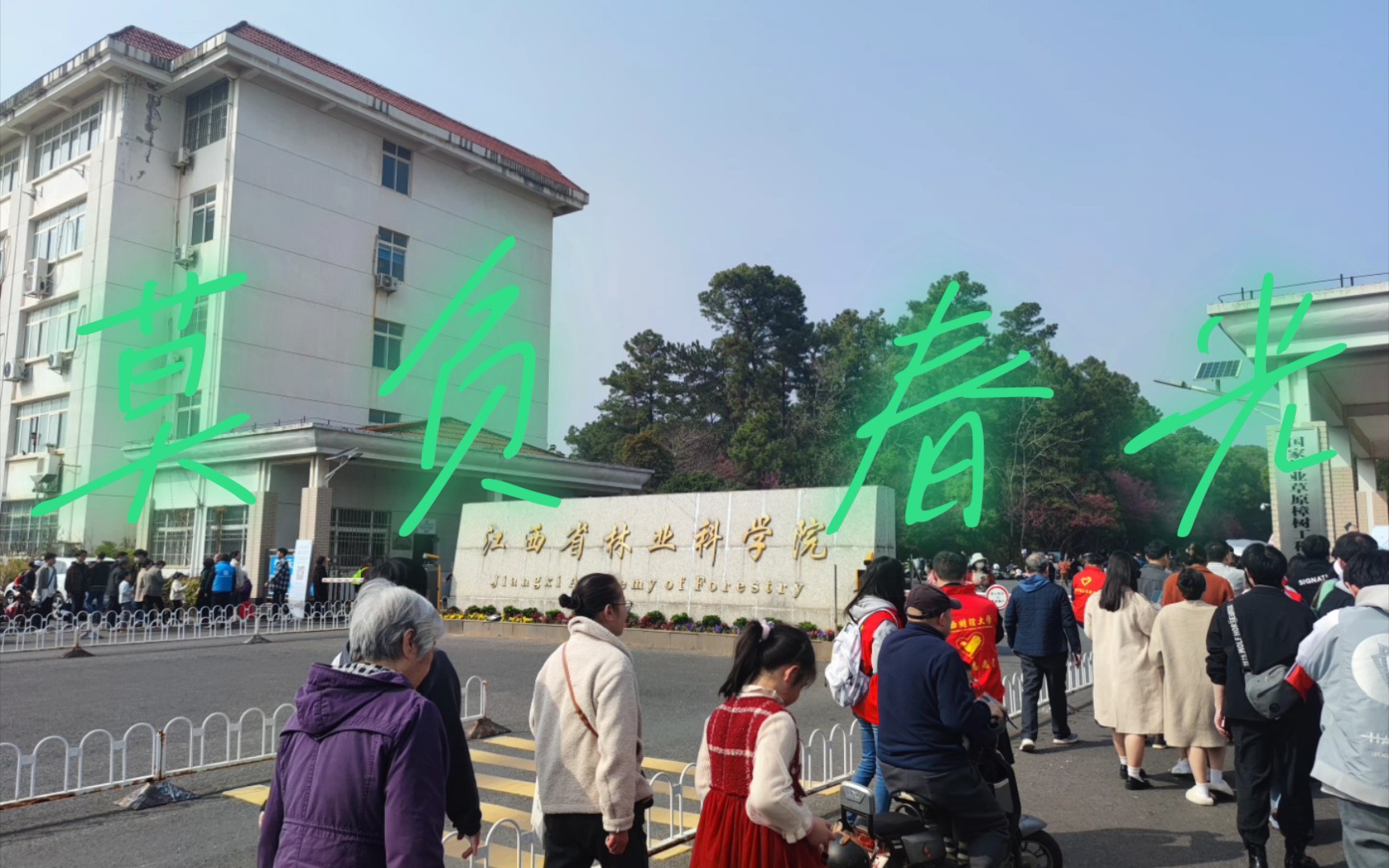 周末春游林科院