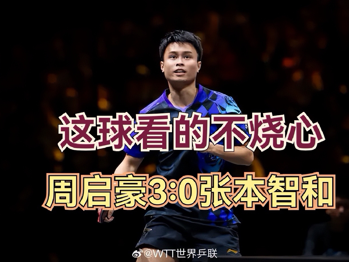 周启豪3:0张本智和，这球打的稳，看着不烧心！世界第三杯淘汰，踏实！