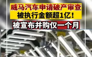 下载视频: 威马汽车申请破产审查，被执行金额超1亿！