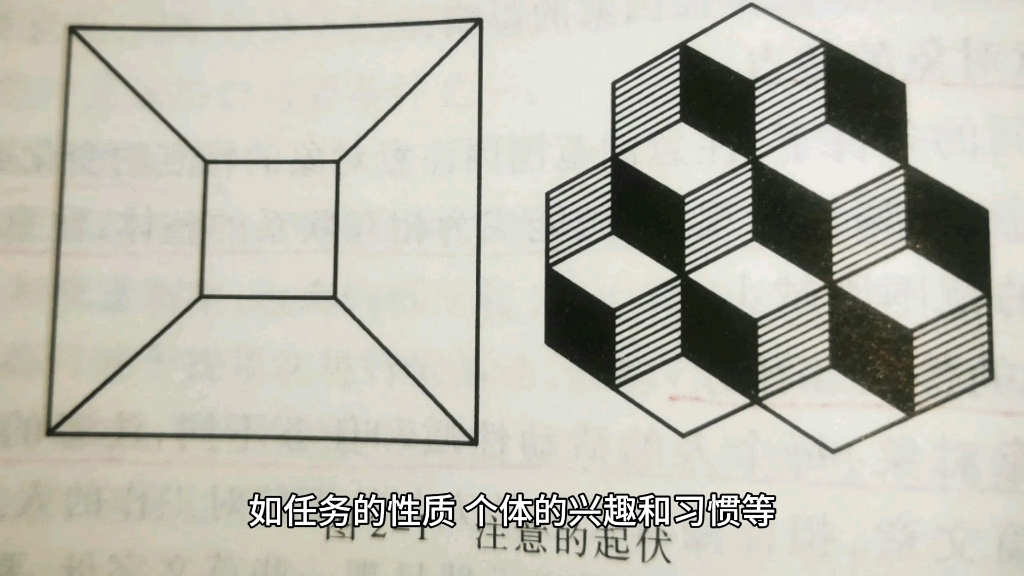 心理学上注意的四个特征,一起来了解一下吧!哔哩哔哩bilibili