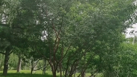 [图]物事从来不自由，鸡窗锁梦岸横舟。云魂雾掩萧萧竹，雨魄雷鸣寂寂楼。冷屋青灯还陋舍，寒星嫠月入瓜洲。潇湘意到江南绿，立断酸风射尔眸。