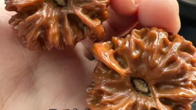 龙门涧核桃-哔哩哔哩_Bilibili