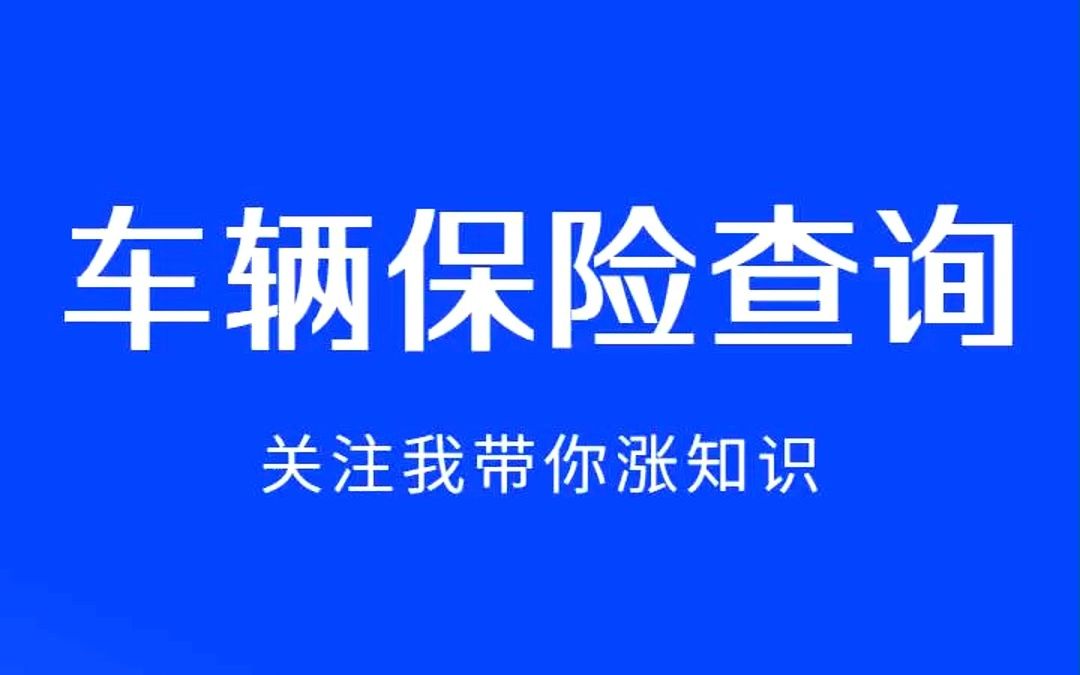 输入车牌号查车险到期哔哩哔哩bilibili