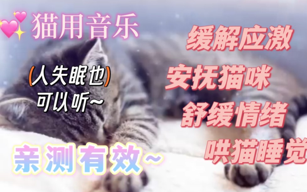 给猫听的音乐 治愈系竖琴音乐和流水声 铲屎官必备养猫好物 舒缓猫咪情绪 缓解猫咪应激 哄猫睡觉 和猫咪培养感情 让猫咪亲人 助眠 asmr哔哩哔哩bilibili