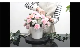 球形花 搜索结果 哔哩哔哩 Bilibili