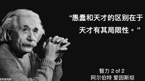 阿尔伯特爱因斯坦名言 成功 哔哩哔哩