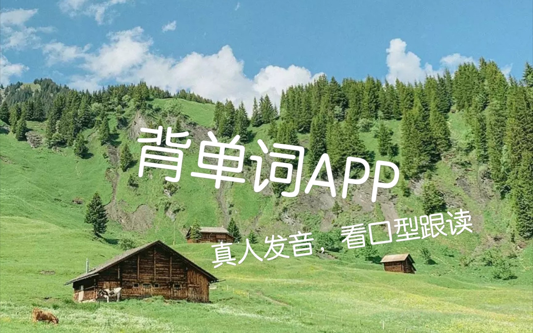 分享集|背单词|完美万词王APP哔哩哔哩bilibili