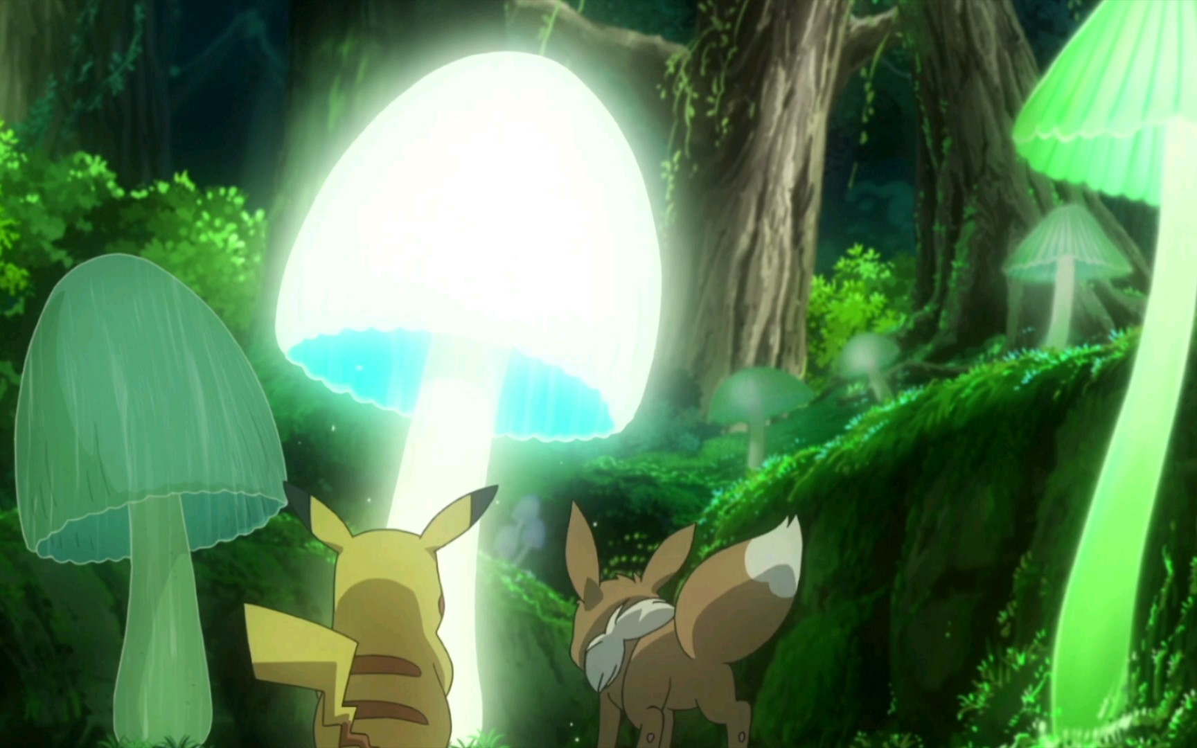 【宝可梦新无印】迷光森林的冒险,动漫中最好看的副本地图了吧!