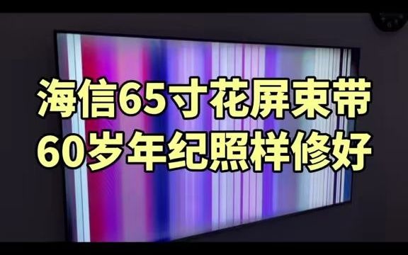 海信65寸开机花屏束带,远程教你不花冤枉钱,少避坑自己轻松不换配件修好 .....哔哩哔哩bilibili