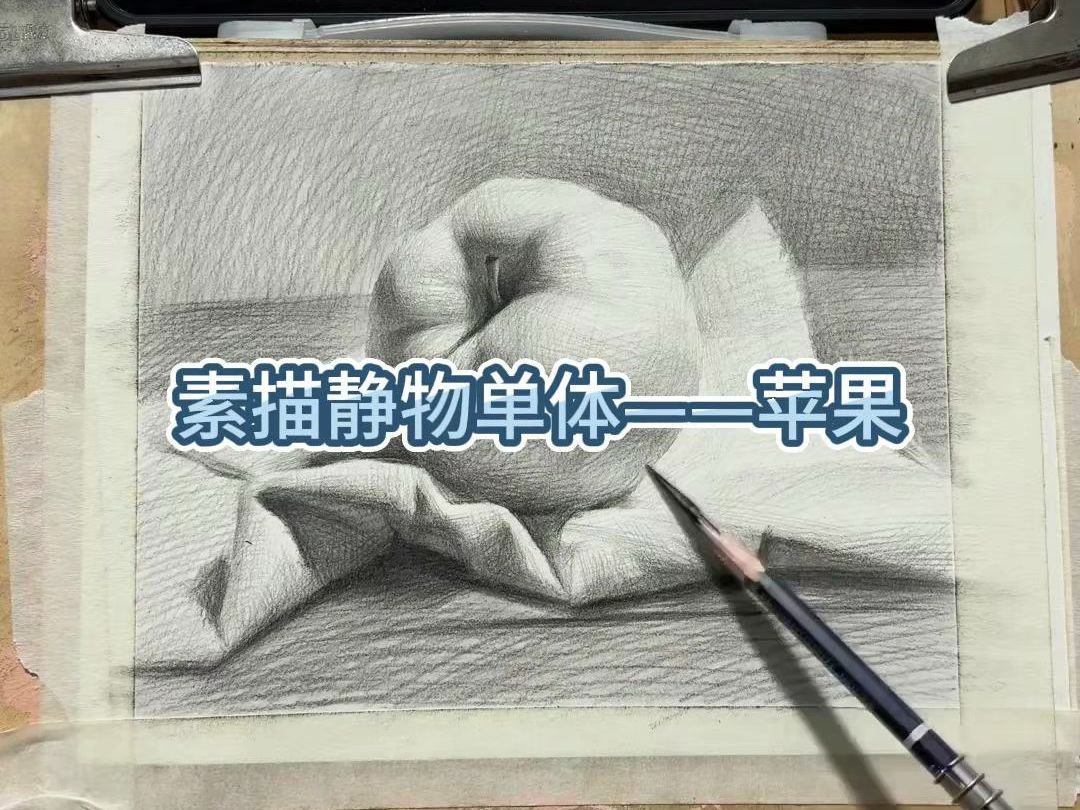 素描静物单体——苹果哔哩哔哩bilibili