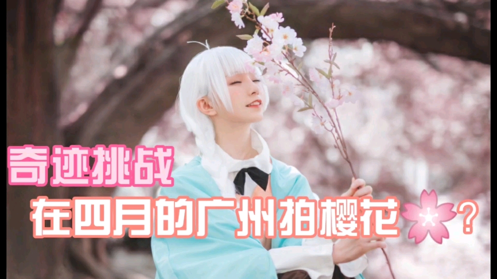 【绮太郎】樱花魔法~在四月的广州如何拍樱花?哔哩哔哩bilibili