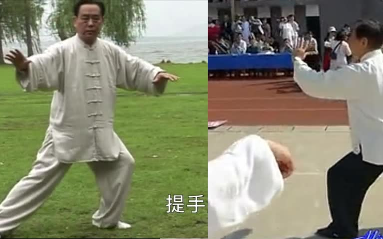 [图]85式-杨氏太极拳-赵幼斌-自制分段演示（正背向同步）