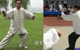 杨氏太极拳85式 哔哩哔哩 Bilibili