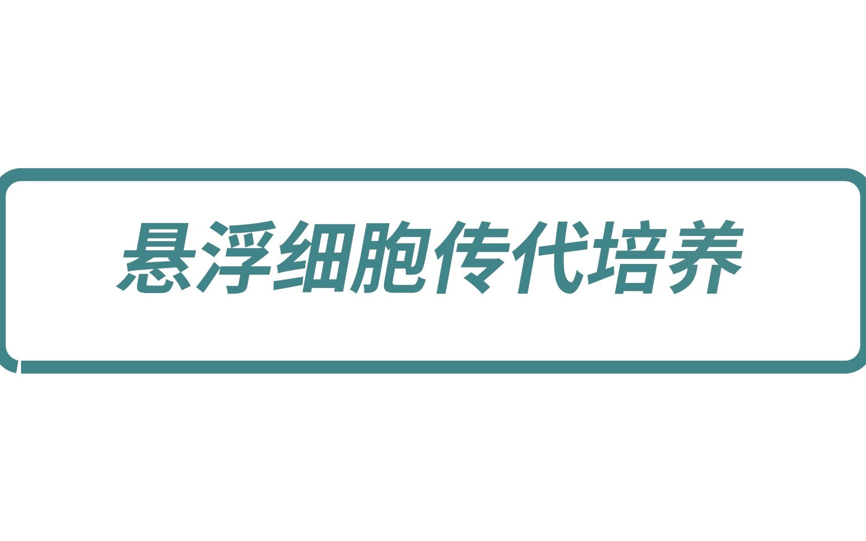 悬浮细胞传代培养实验操作演示哔哩哔哩bilibili