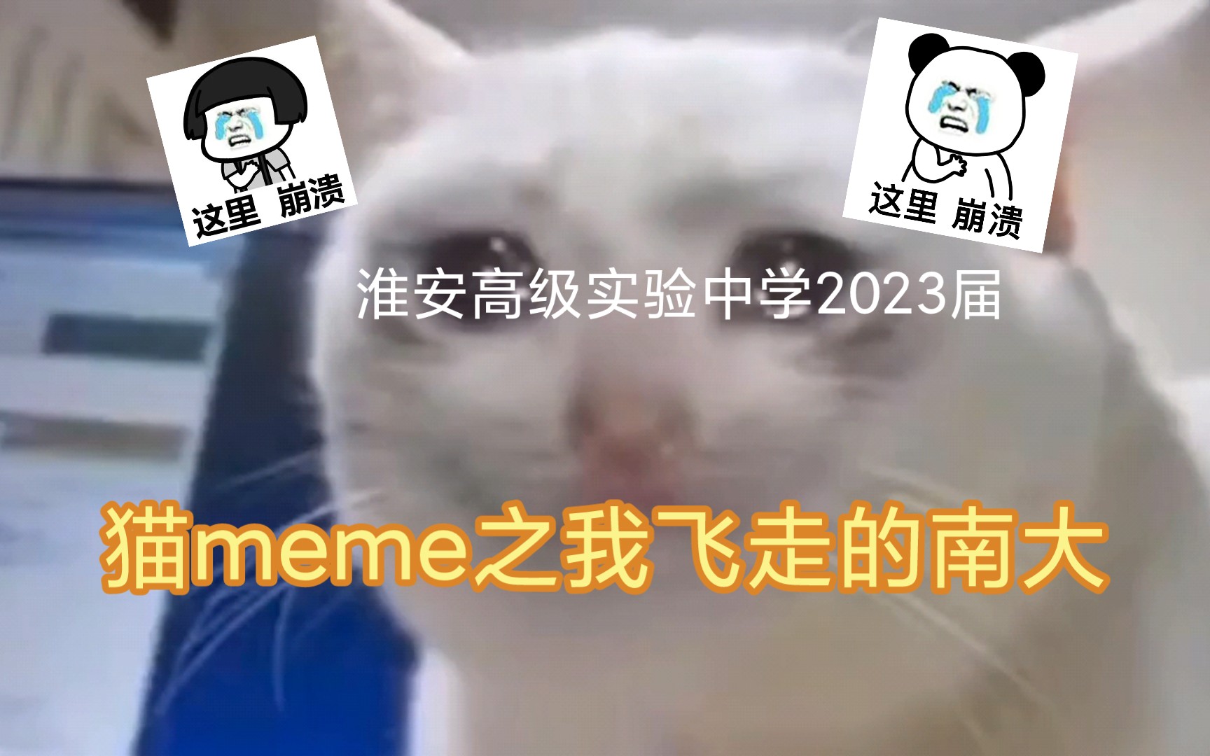 南大研学取消了?!!(猫meme)哔哩哔哩bilibili