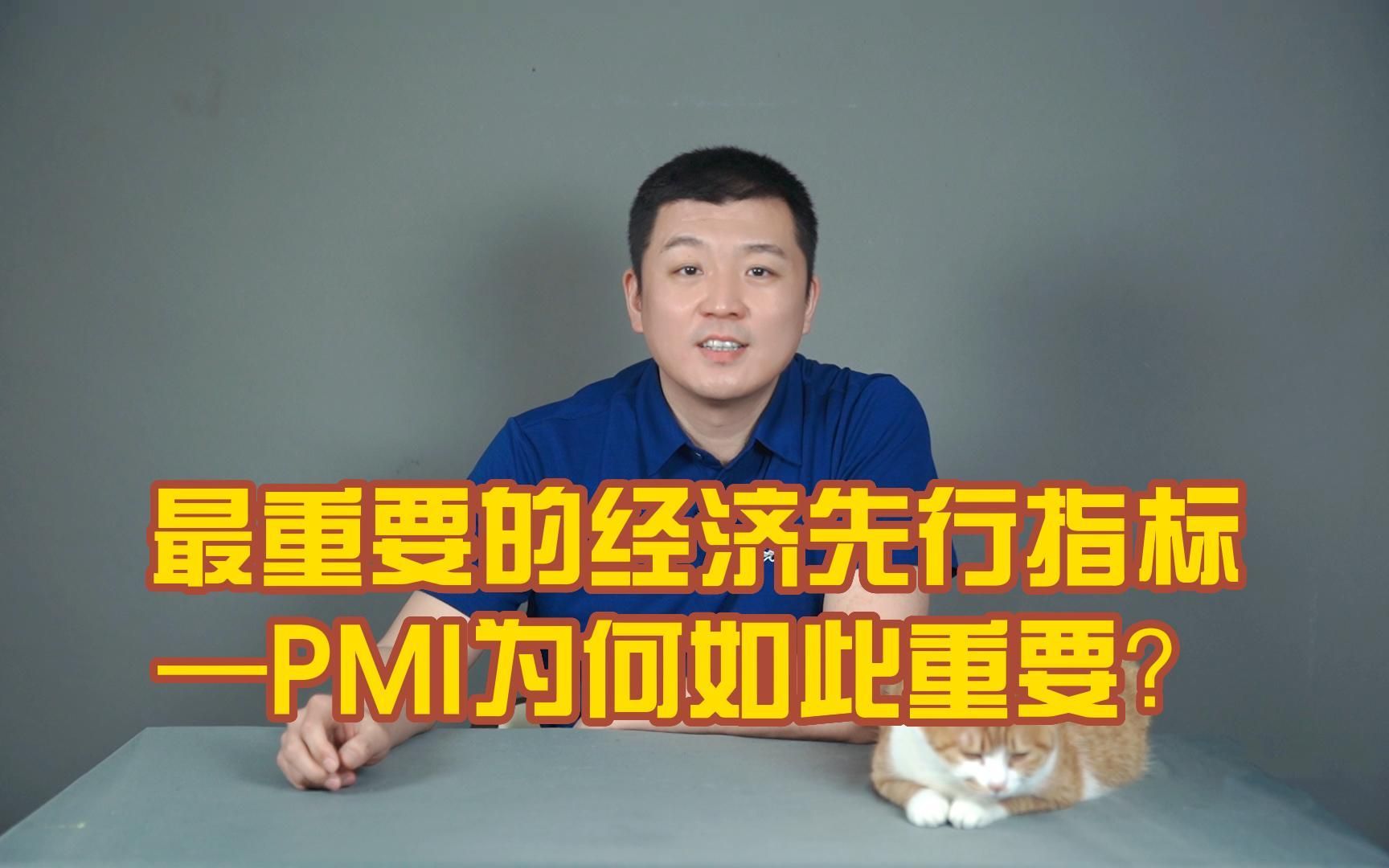 最重要的经济先行指标—PMI为何如此重要哔哩哔哩bilibili