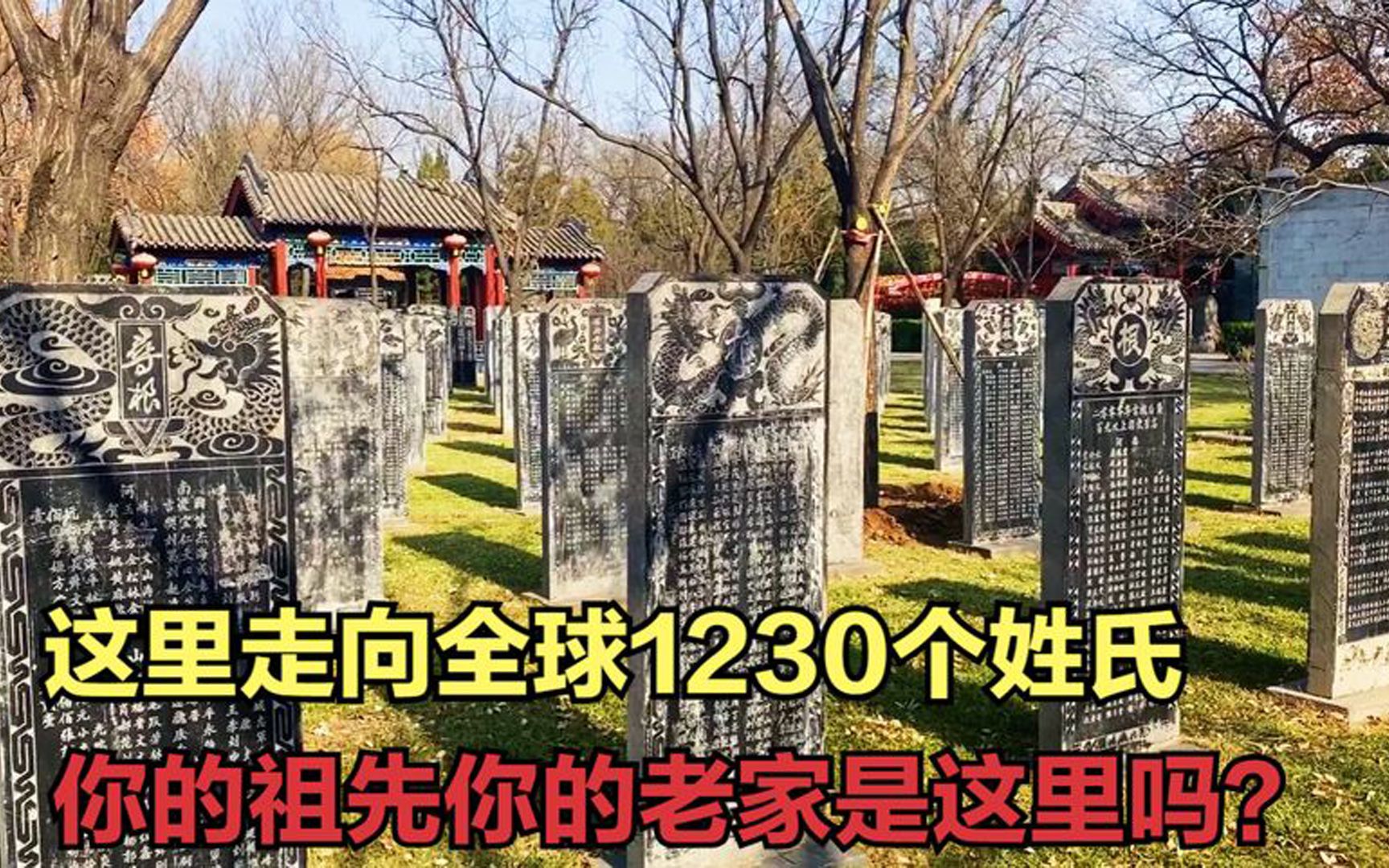 山西一座县城,600年前向全国迁出1000多个姓氏,你的老家是这里吗?哔哩哔哩bilibili