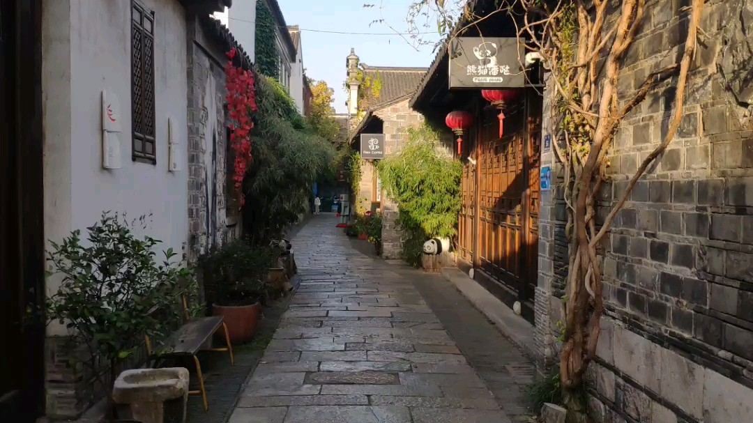 花迹,古巷的烂漫