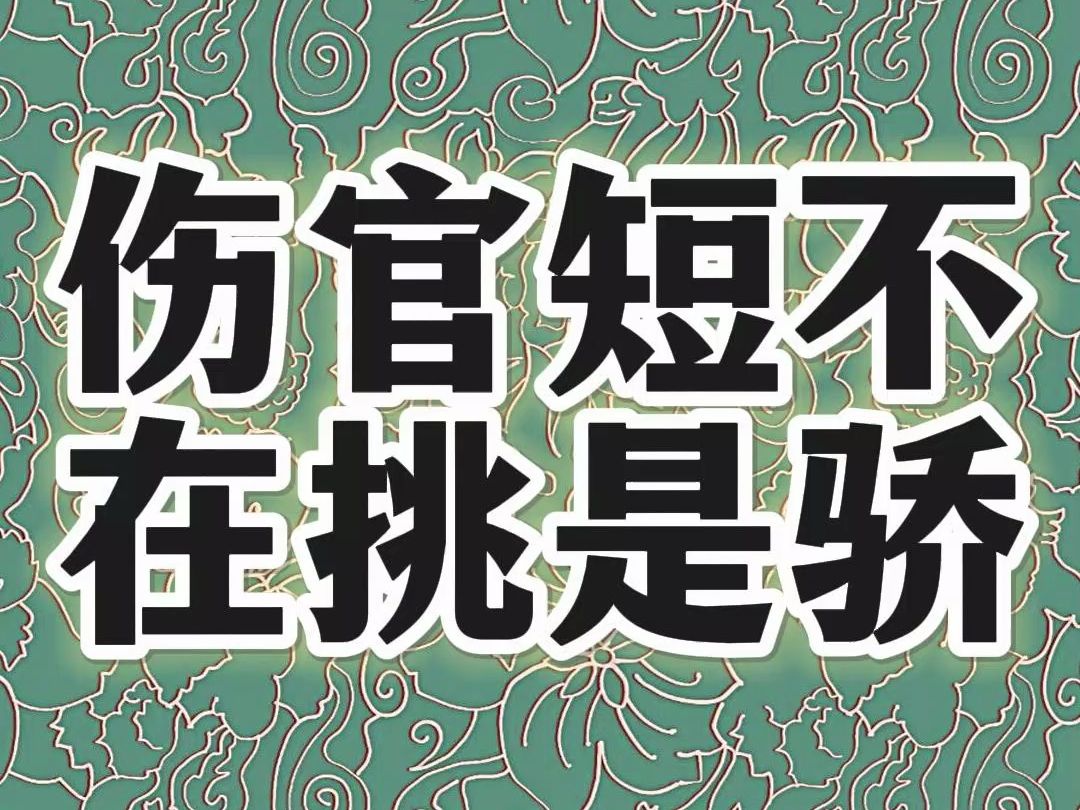 伤官的问题不是挑讨嫌 是骄,不被理解的骄,包括其他也各有各的骄点哔哩哔哩bilibili