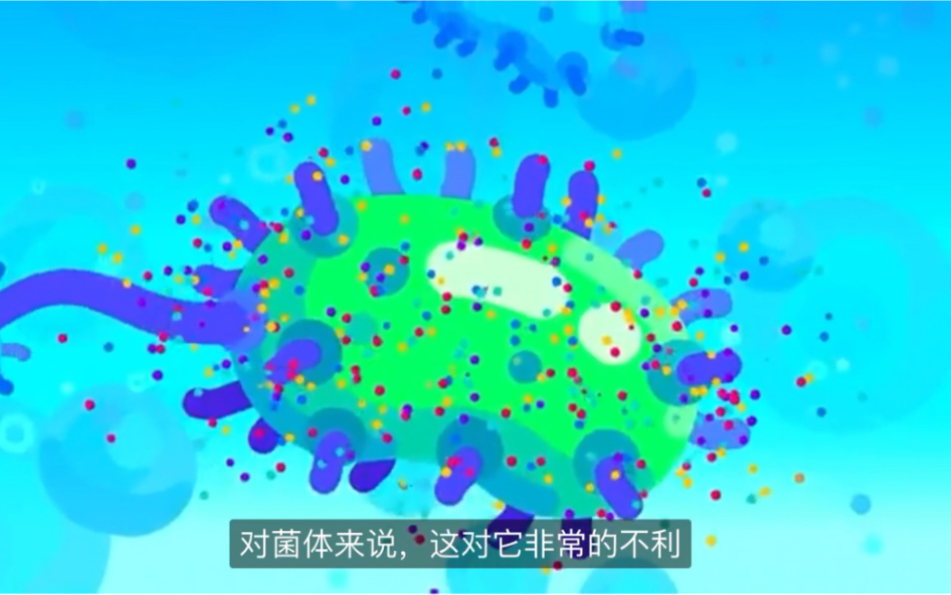 [In a nutshell]免疫学补体系统哔哩哔哩bilibili