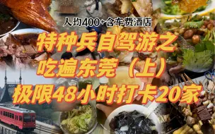 Download Video: 人均400+含车费酒店！特种兵自驾游之吃遍东莞极限48小时打卡20家，本地人包租公带路的老店小店基本不踩雷！2天东莞开车6小时，这份攻略在整个探店圈都相当炸裂！