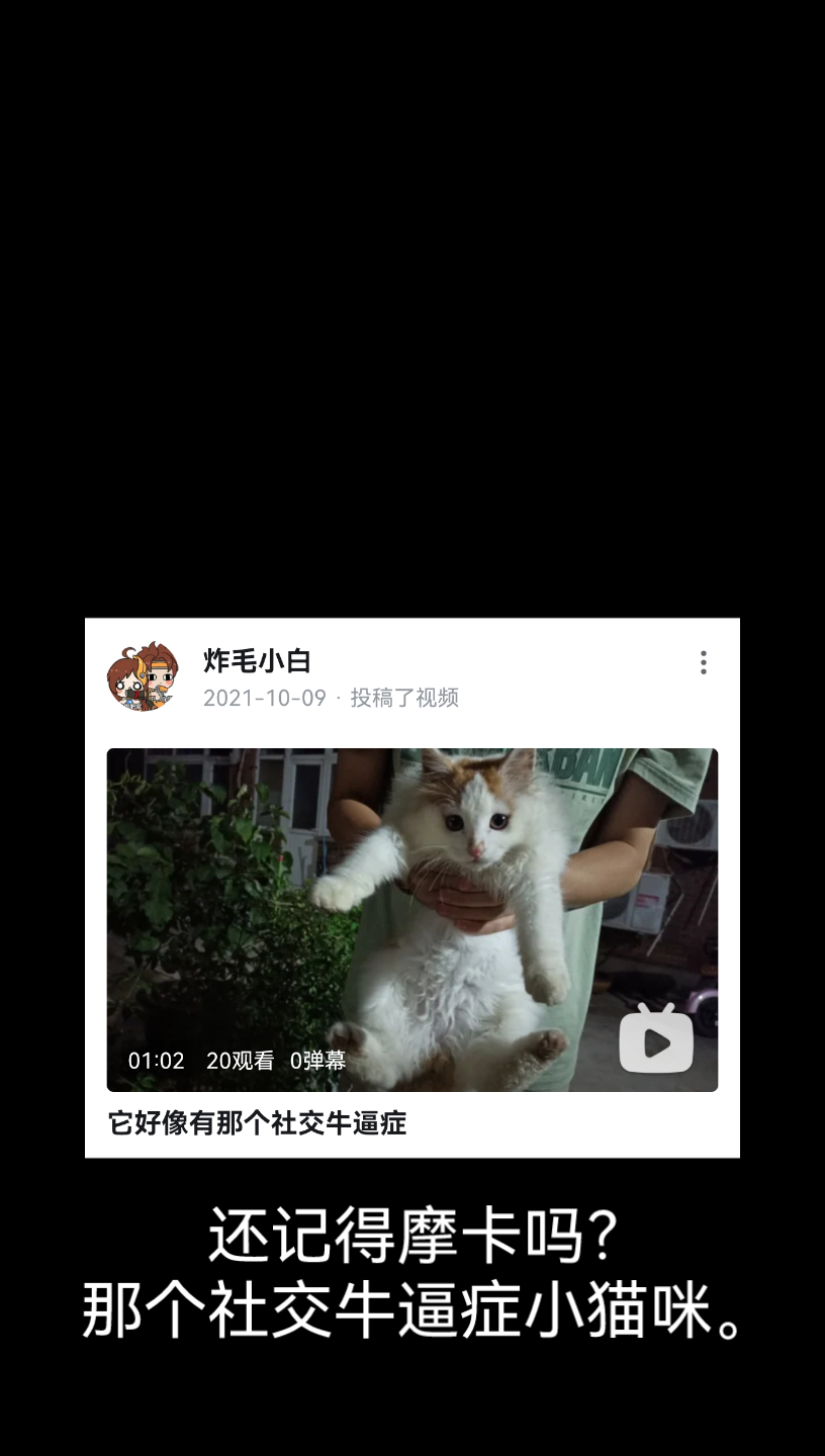 恭贺新年!喜添新丁~哔哩哔哩bilibili