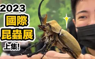 Télécharger la video: 世界最大国际昆虫博览会在台湾！还有超美爬虫！超过200摊~