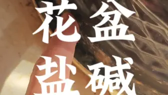 杨老师讲地理之花盆盐碱