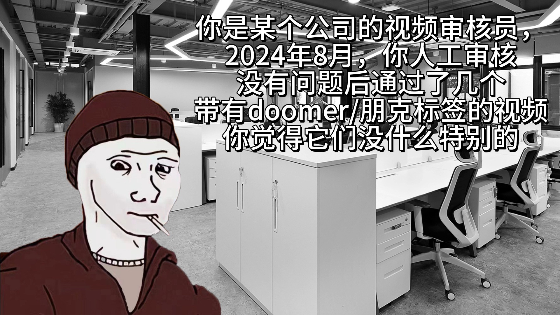 你是某个公司的视频审核员, 2024年8月,你人工审核 没有问题后通过了 几个关于doomer/朋克的视频, 想着明天看看更多元化的视频哔哩哔哩bilibili